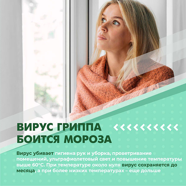 Мифы о гриппе